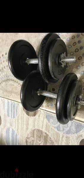 2 dumbells plus 30 kg weights 03027072 GEO SPORTS