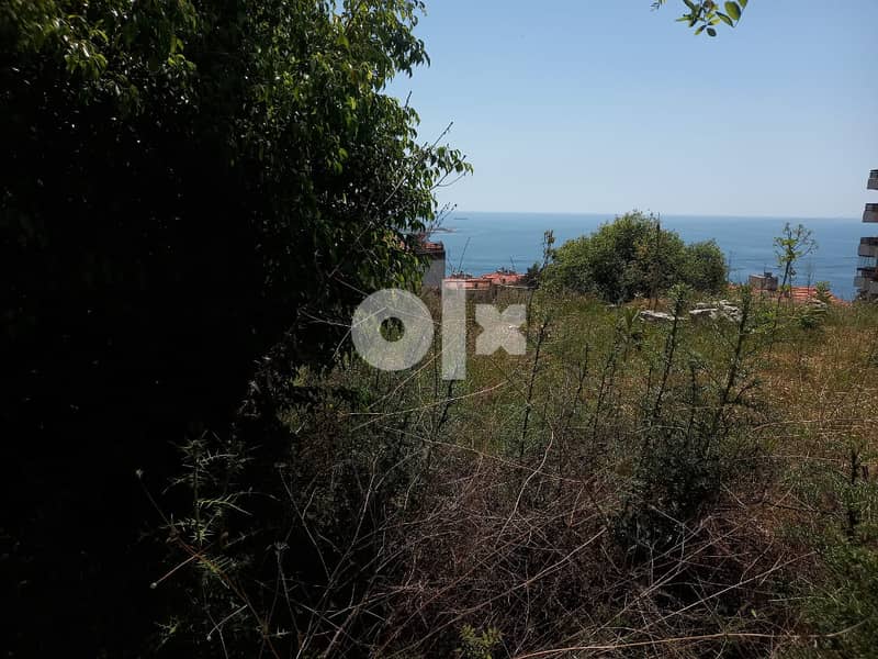 L09314-Land For Sale In A Prime Location In Kfarhbeib With Sea View 1
