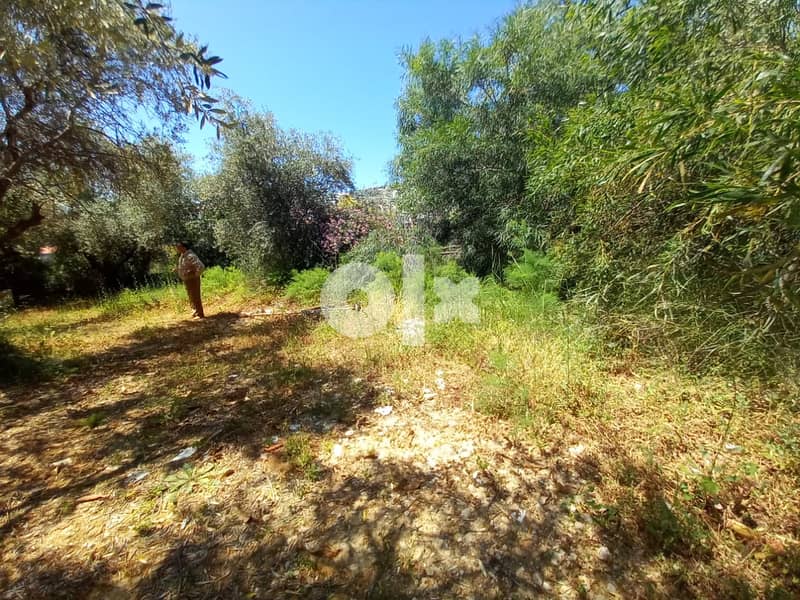 L09313-Land For Sale In The Heart Of Kfarhbeib 1