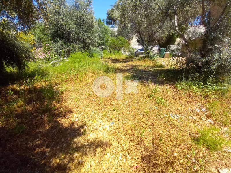 L09313-Land For Sale In The Heart Of Kfarhbeib 2