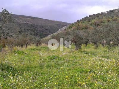 2500m Land for sale