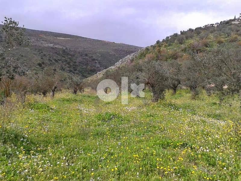 2500m Land for sale 0