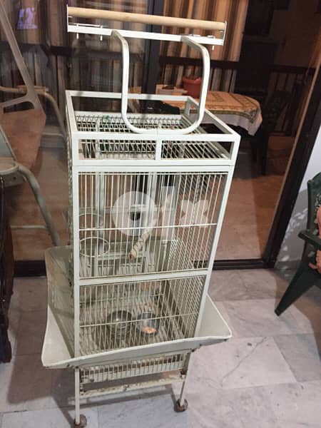 Birds cage 1