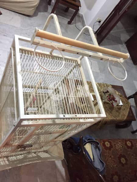 Birds cage 2