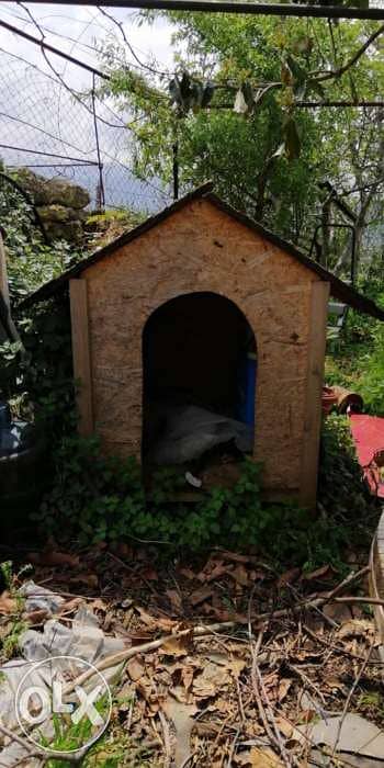 Dogs and cats houses 1