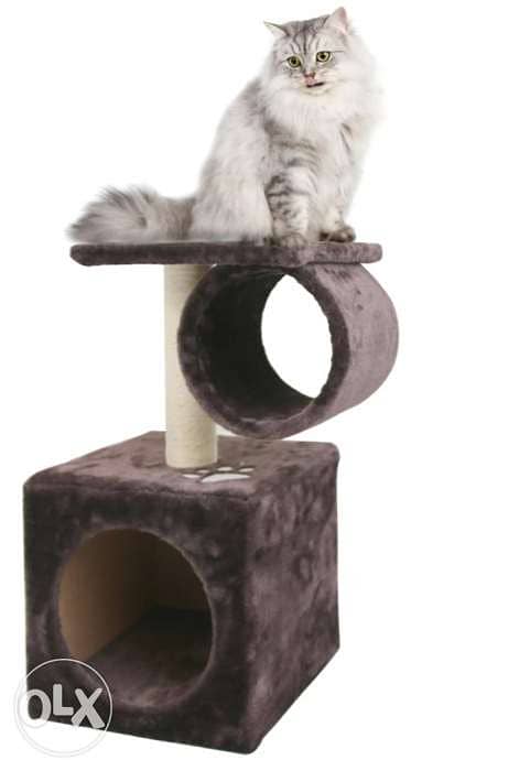 Dogs and cats houses 2