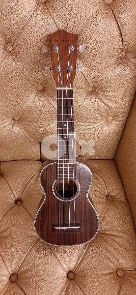 ukulele + capo 2