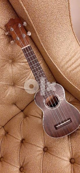 ukulele + capo 5