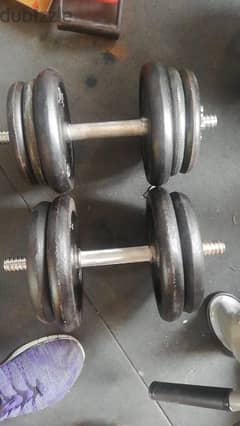 35 kg weights and dumbells 03027072  GEO SPORTS 0