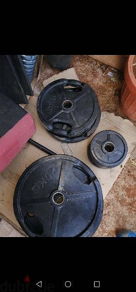 100kg Olympic plates still new 1