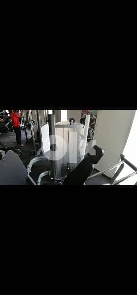 Big size European Leg press