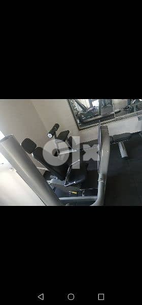 Big size European Leg press 1