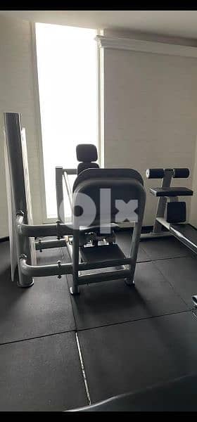 Big size European Leg press 2