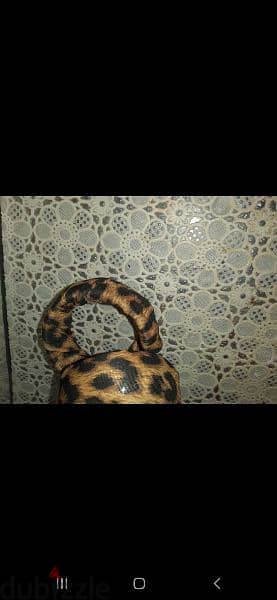 bracelet leopard print high quality 6