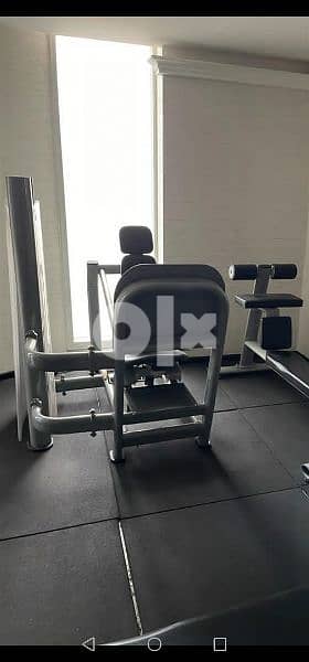 Like new European Leg Press 1