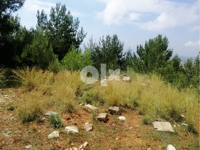 Blat | Land |Calm Area |بلاط| أرض للبيع |PLS25106 4