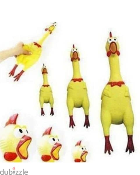 hilarious screaming chicken 5$ 4