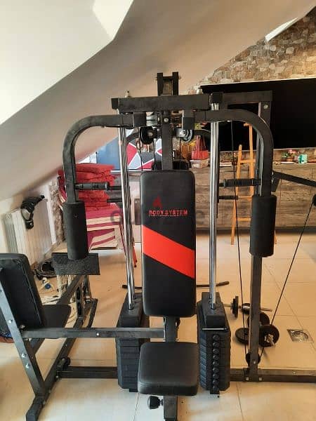 All Gym workouts in 1 Home Gym machine BODYSYSTEM 03027072 GEO SPORTS 2