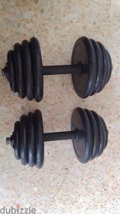 DUMBELLS with weights 03027072 GEO SPORTS 0