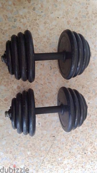 DUMBELLS with weights 03027072 GEO SPORTS