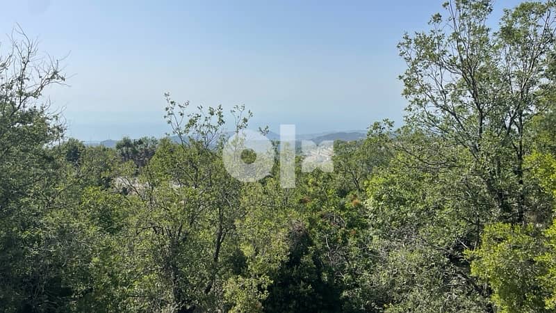 land for sale in mechmech-jbeil أرض للبيع في مشمش جبيل 4