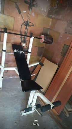 Adjustable bench with adjustable rack plus axe and weights 03027072