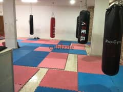Boxing gym used 81701084