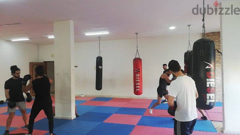 Boxing gym used 81701084 3