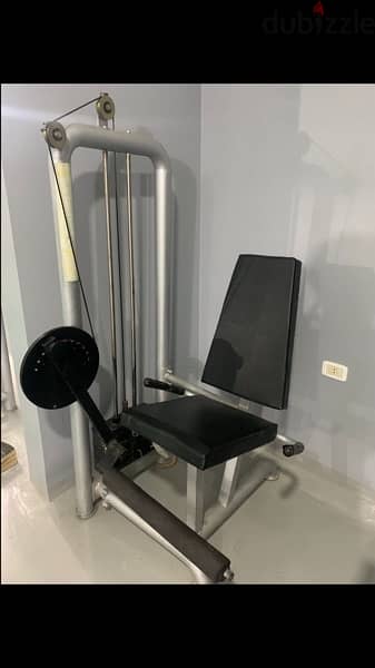 leg extension machine we have also all sports equipment 70/443573RODGE 1