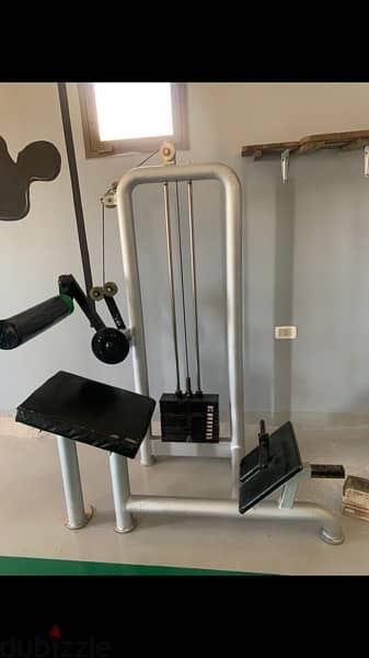 back extension and abdominal press machine 70/443573 RODGE 2