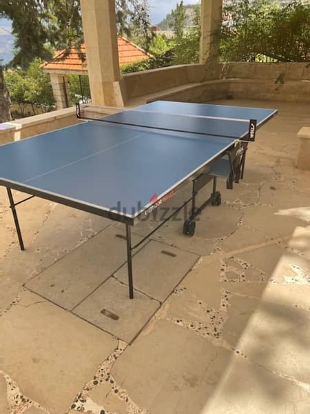 outdoor table tennis (germany) 2