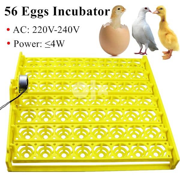 صحن بيض تقليب اتوماتيك  egg tray 0