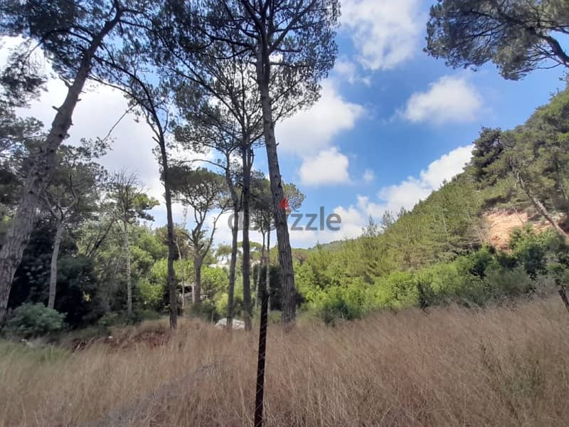 2400 Sqm | Land for sale in Jouret Al Ballout | Mountain view 4