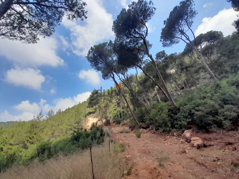 2400 Sqm | Land for sale in Jouret Al Ballout | Mountain view 5