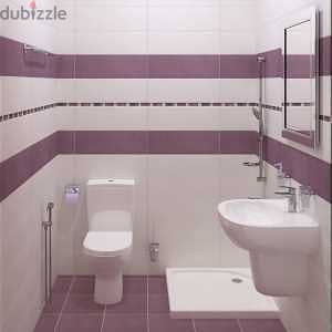 Bathroom/ Toilet renovations 5