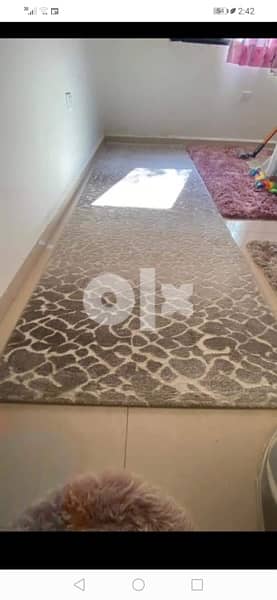 Carpets x 10 سجاد عدد 14