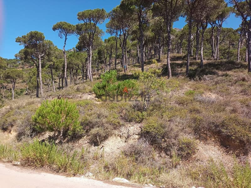 Land For Sale in Kaakour, 285 sqm 5