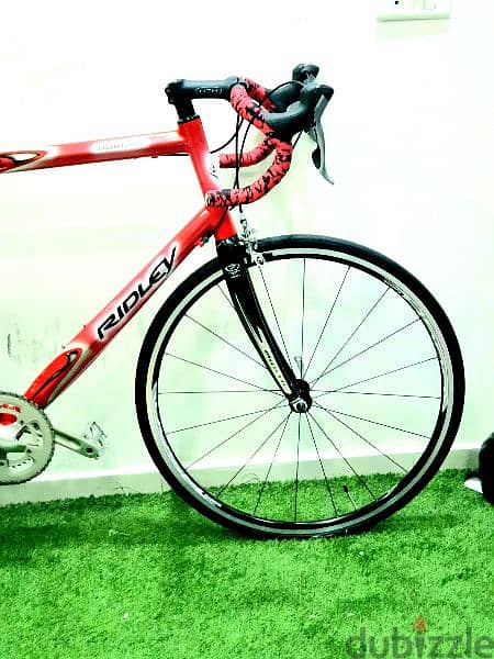 RIDLEY road bike 28 , Shimano Tiagra 10×2 1