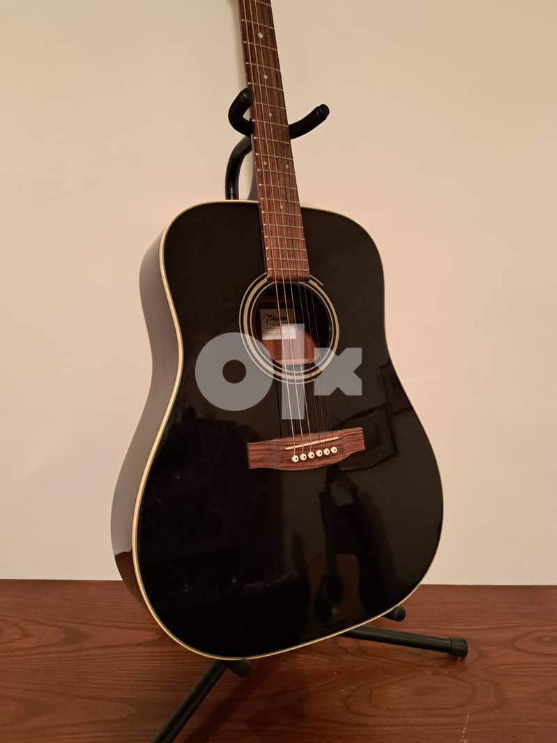 Takamine Acoustic guitar 1