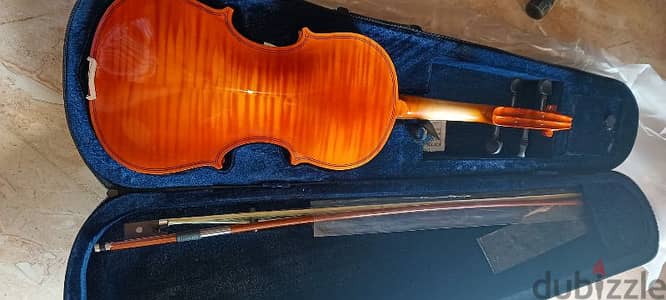 violin