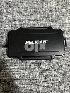 A bunch of SD & CF cards with Pelican case