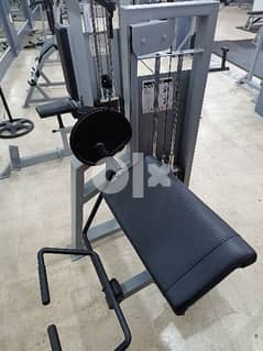 BICEPS SEATED BENCH WITH WEIGHTS 03027072 GEO SPORTS AND GYM EQUIPMENT 0