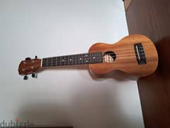 Ukulele Maxtone hawaian guitar 0