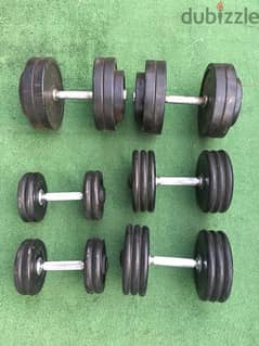 dumbells like new we have also all sports equipment 70/443573 RODGE