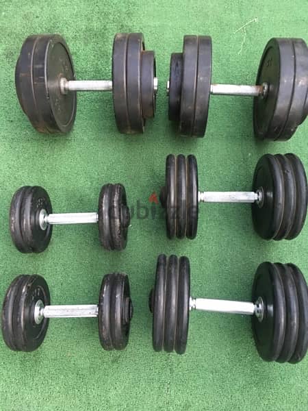 dumbells like new we have also all sports equipment 70/443573 RODGE 1