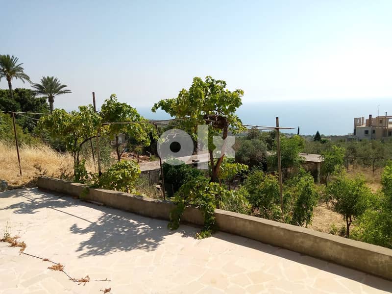 L08214-House with Land for Sale in Berbara 1