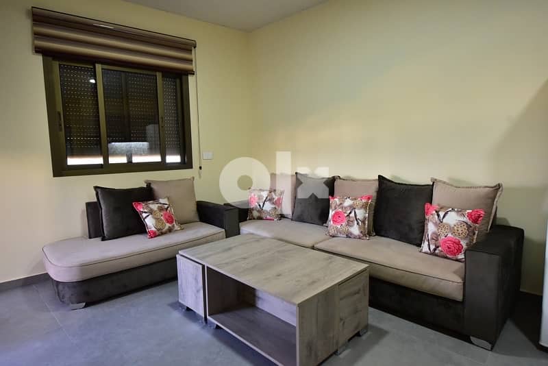 Deluxe Furnished Apartments for Rent 7