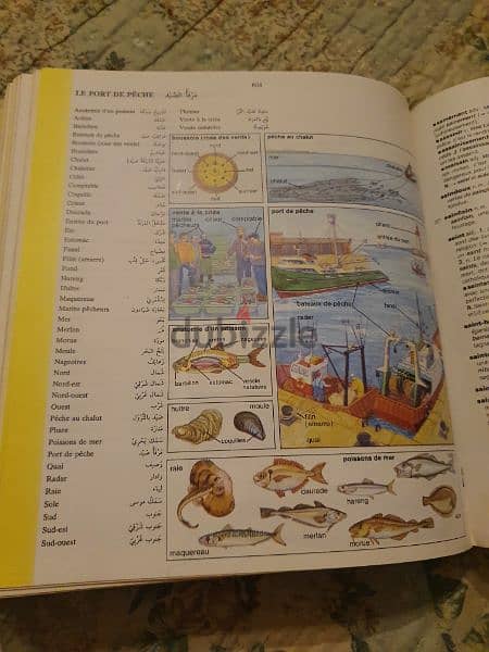 dictionaries Francais arabe 4