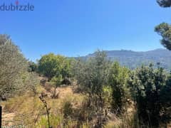 1500 Sqm | Land in Monteverde | Mountain view 0