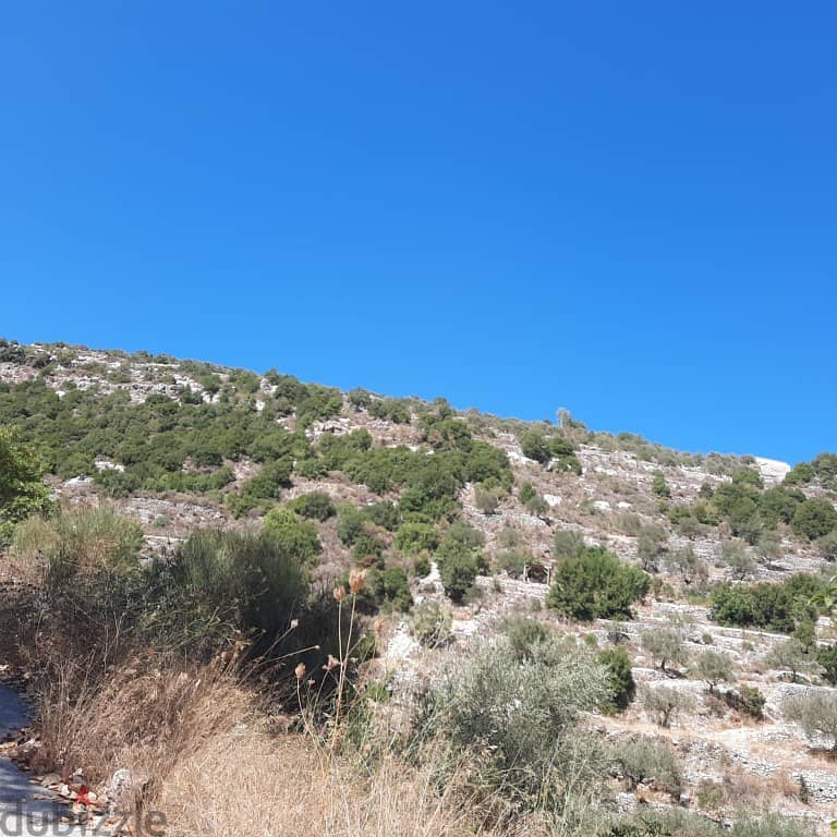 638 Sqm | Land for Sale in Bsaba / Chouf | Mountain and sea View 1